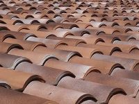 瓦当、瓦片、砖雕……屋顶上的艺术智慧彰显民族文化基因