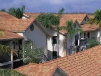 你了解瓦有多少种类吗？